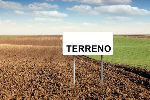 Helårsgrund i Ripatransone, Ascoli Piceno, Ripatransone - € 14.000 | Ref: 1181 - foto 2