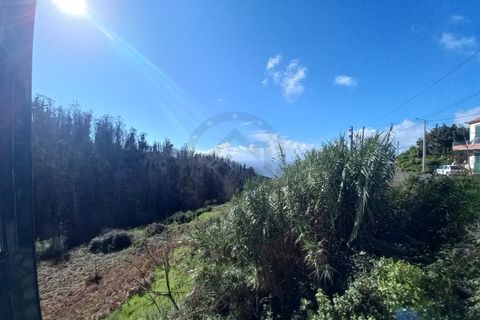 Villa a Ponta do Pargo, Madeira, Ponta do Pargo - € 570.000 | Ref: IC_1232 - foto 18