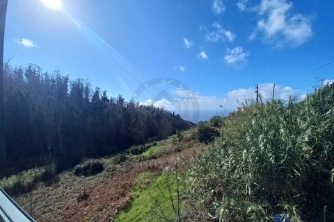 Villa a Ponta do Pargo, Madeira, Ponta do Pargo - € 570.000 | Ref: IC_1232 - foto 21
