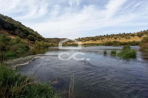 Farm hus i Serpa, Beja, Serpa - € 520.000 | Ref: 333/Q/01425 - foto 3