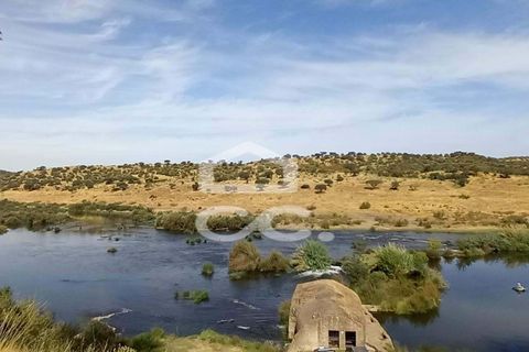 Farm hus i Serpa, Beja, Serpa - € 520.000 | Ref: 333/Q/01425 - foto 5