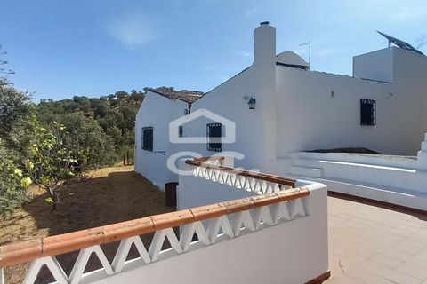 Farm hus i Serpa, Beja, Serpa - € 520.000 | Ref: 333/Q/01425 - foto 14