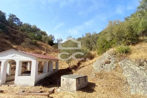 Farm hus i Serpa, Beja, Serpa - € 520.000 | Ref: 333/Q/01425 - foto 17