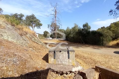 Farm hus i Serpa, Beja, Serpa - € 520.000 | Ref: 333/Q/01425 - foto 18