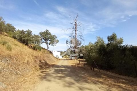 Farm hus i Serpa, Beja, Serpa - € 520.000 | Ref: 333/Q/01425 - foto 19