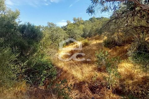 Farm hus i Serpa, Beja, Serpa - € 520.000 | Ref: 333/Q/01425 - foto 20