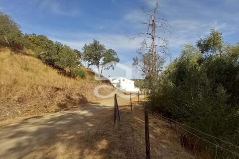 Farm hus i Serpa, Beja, Serpa - € 520.000 | Ref: 333/Q/01425 - foto 21
