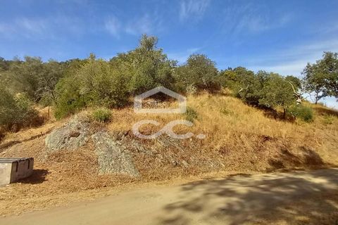 Farm hus i Serpa, Beja, Serpa - € 520.000 | Ref: 333/Q/01425 - foto 22