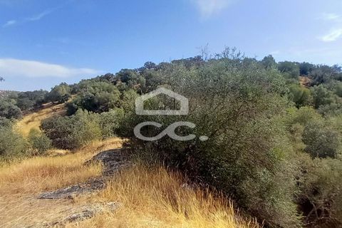 Farm hus i Serpa, Beja, Serpa - € 520.000 | Ref: 333/Q/01425 - foto 23