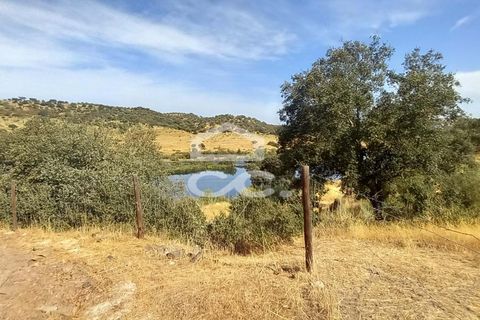 Farm hus i Serpa, Beja, Serpa - € 520.000 | Ref: 333/Q/01425 - foto 25