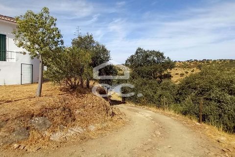 Farm hus i Serpa, Beja, Serpa - € 520.000 | Ref: 333/Q/01425 - foto 26
