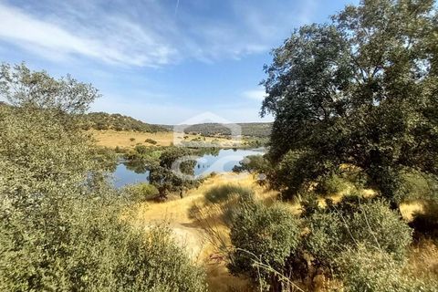 Farm hus i Serpa, Beja, Serpa - € 520.000 | Ref: 333/Q/01425 - foto 27