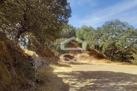 Farm hus i Serpa, Beja, Serpa - € 520.000 | Ref: 333/Q/01425 - foto 28
