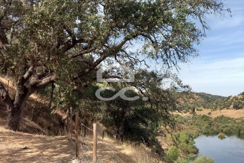 Farm hus i Serpa, Beja, Serpa - € 520.000 | Ref: 333/Q/01425 - foto 33