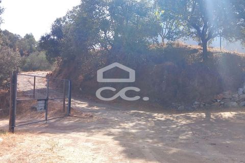 Farm hus i Serpa, Beja, Serpa - € 520.000 | Ref: 333/Q/01425 - foto 34