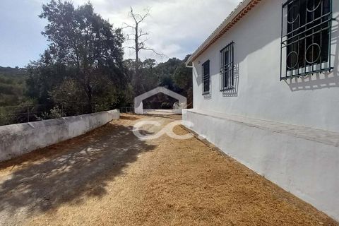 Farm hus i Serpa, Beja, Serpa - € 520.000 | Ref: 333/Q/01425 - foto 39