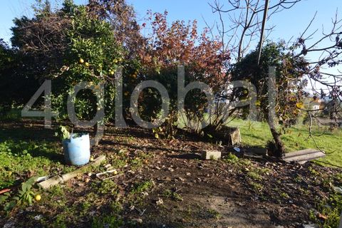 Villa i Sever do Vouga, Aveiro, Sever do Vouga - € 125.000 | Ref: MOR_01255341 - foto 20