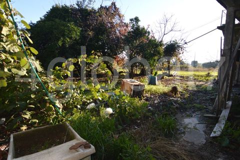 Villa i Sever do Vouga, Aveiro, Sever do Vouga - € 125.000 | Ref: MOR_01255341 - foto 23