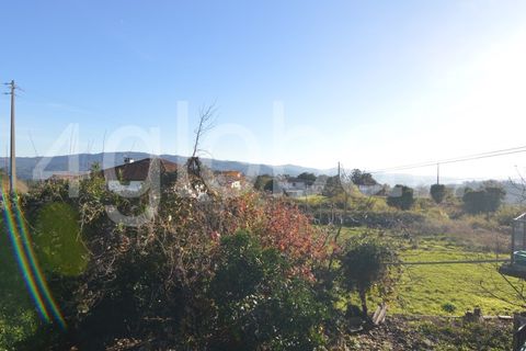Villa i Sever do Vouga, Aveiro, Sever do Vouga - € 125.000 | Ref: MOR_01255341 - foto 25