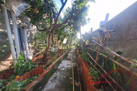 Villa i Bombarral, Leiria, Bombarral - € 170.000 | Ref: 045-2025 - foto 34