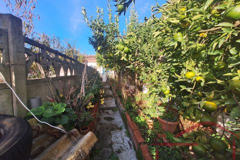 Villa i Bombarral, Leiria, Bombarral - € 170.000 | Ref: 045-2025 - foto 40