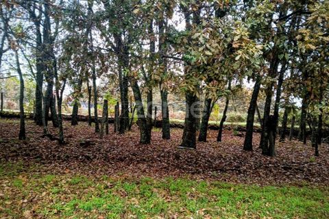 Helårsgrund i Abraveses, Viseu, Abraveses - € 215.000 | Ref: ZMPT583158 - foto 2