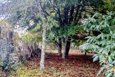Helårsgrund i Abraveses, Viseu, Abraveses - € 215.000 | Ref: ZMPT583158 - foto 4