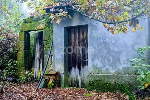 Helårsgrund i Abraveses, Viseu, Abraveses - € 215.000 | Ref: ZMPT583158 - foto 5