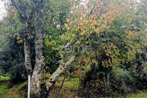Helårsgrund i Abraveses, Viseu, Abraveses - € 215.000 | Ref: ZMPT583158 - foto 7