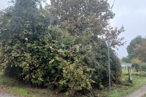 Helårsgrund i Abraveses, Viseu, Abraveses - € 215.000 | Ref: ZMPT583158 - foto 8