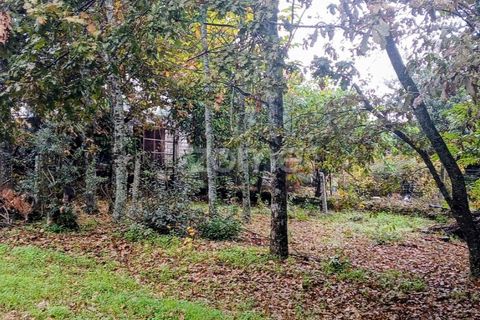 Helårsgrund i Abraveses, Viseu, Abraveses - € 215.000 | Ref: ZMPT583158 - foto 9