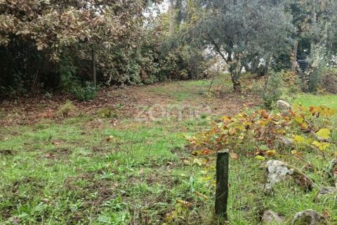 Helårsgrund i Abraveses, Viseu, Abraveses - € 215.000 | Ref: ZMPT583158 - foto 10