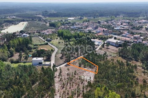 Helårsgrund i Cantanhede, Coimbra, Cantanhede - € 46.900 | Ref: ZMPT583072 - foto 15