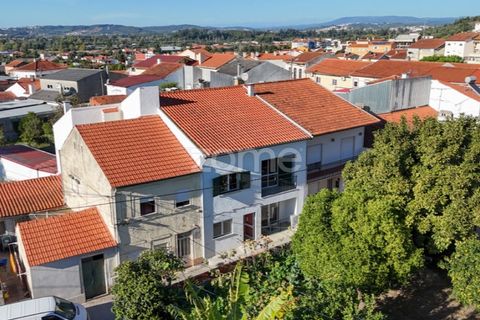 Villa i Coimbra, Coimbra, Coimbra - € 349.500 | Ref: ZMPT570696 - foto 38