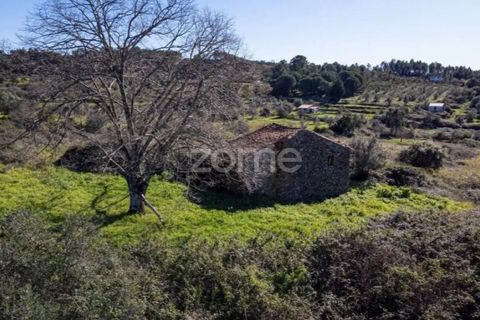Helårsgrund i Macao, Santarem, Macao - € 550.000 | Ref: ZMPT583147 - foto 5