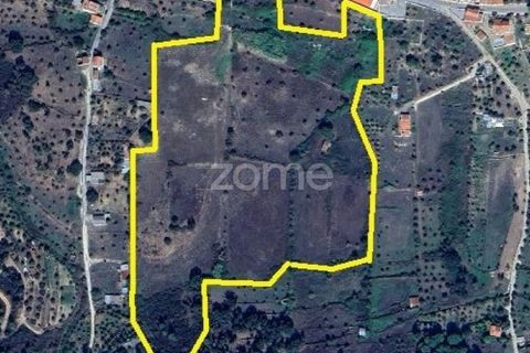Helårsgrund i Macao, Santarem, Macao - € 550.000 | Ref: ZMPT583147 - foto 7