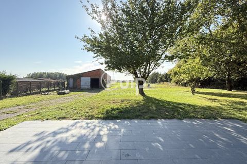 Villa a Le Doulieu, Nord, Le Doulieu - € 357.000 | Ref: estf16762 - foto 11