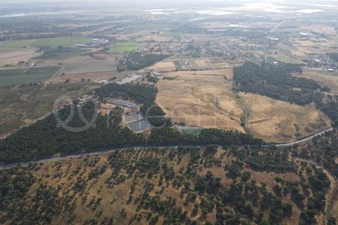 Helårsgrund i Benavente, Santarem, Benavente - € 4.500.000 | Ref: TER_158 - foto 2