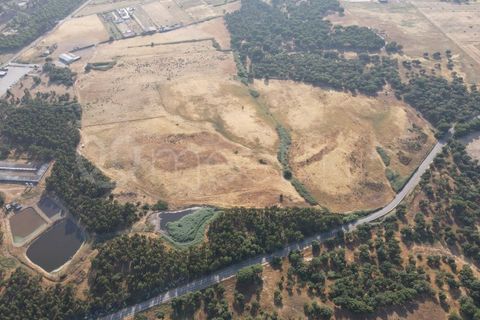 Helårsgrund i Benavente, Santarem, Benavente - € 4.500.000 | Ref: TER_158 - foto 4