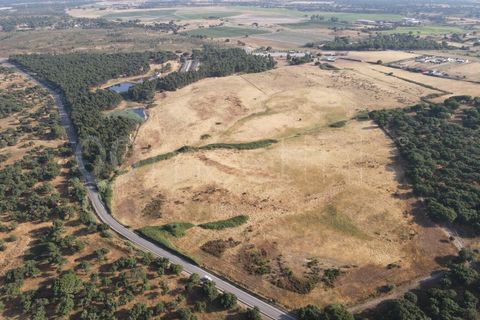 Helårsgrund i Benavente, Santarem, Benavente - € 4.500.000 | Ref: TER_158 - foto 6