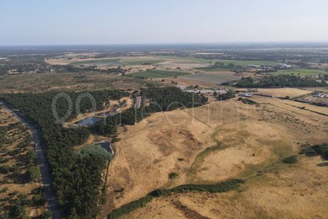 Helårsgrund i Benavente, Santarem, Benavente - € 4.500.000 | Ref: TER_158 - foto 7