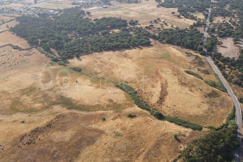 Helårsgrund i Benavente, Santarem, Benavente - € 4.500.000 | Ref: TER_158 - foto 8