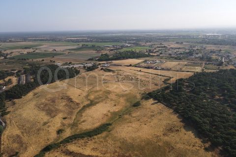 Helårsgrund i Benavente, Santarem, Benavente - € 4.500.000 | Ref: TER_158 - foto 9