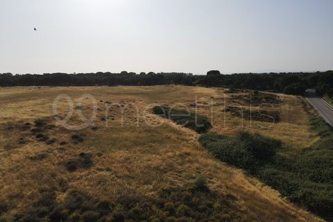 Helårsgrund i Benavente, Santarem, Benavente - € 4.500.000 | Ref: TER_158 - foto 10