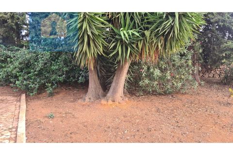 Farm i Guia, Faro, Guia - € 1.790.000 | Ref: VP1720 - foto 8