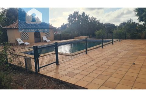 Farm i Guia, Faro, Guia - € 1.790.000 | Ref: VP1720 - foto 19