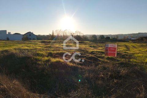 Helårsgrund i Bombarral, Leiria, Bombarral - € 140.000 | Ref: 321/T/01254 - foto 3