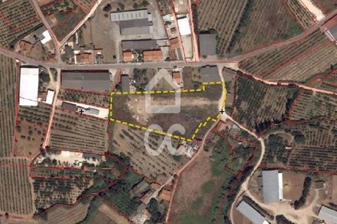 Helårsgrund i Bombarral, Leiria, Bombarral - € 140.000 | Ref: 321/T/01254 - foto 6