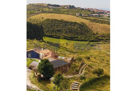 Landejendom i Valpacos, Vila Real, Valpacos - € 3.500.000 | Ref: FHNL5002 - foto 2
