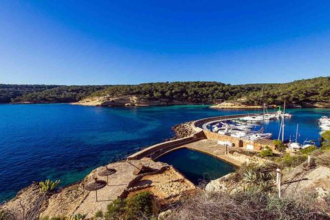 Villa a Sol De Mallorca, Mallorca, Sol De Mallorca - € 13.950.000 | Ref: 2611410 - foto 14